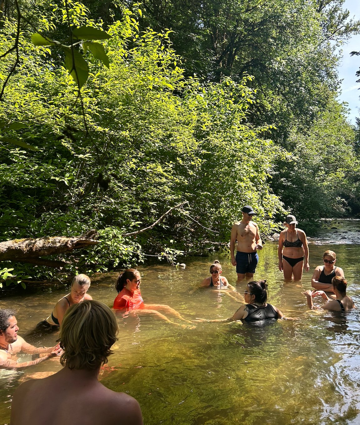 Guests swimming in the creek