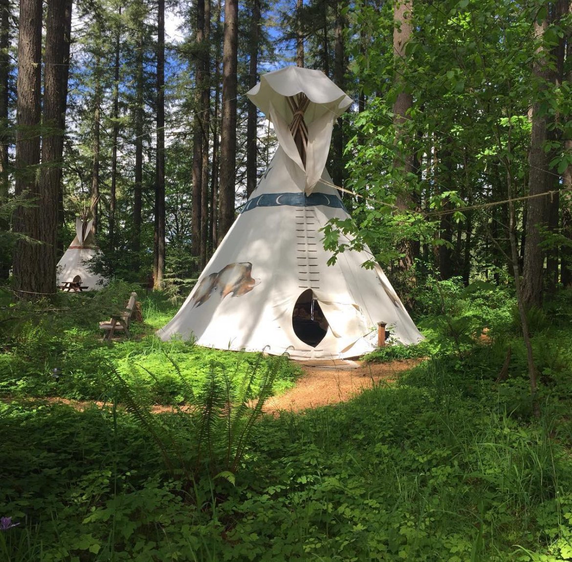 Tipi tucked into the forest