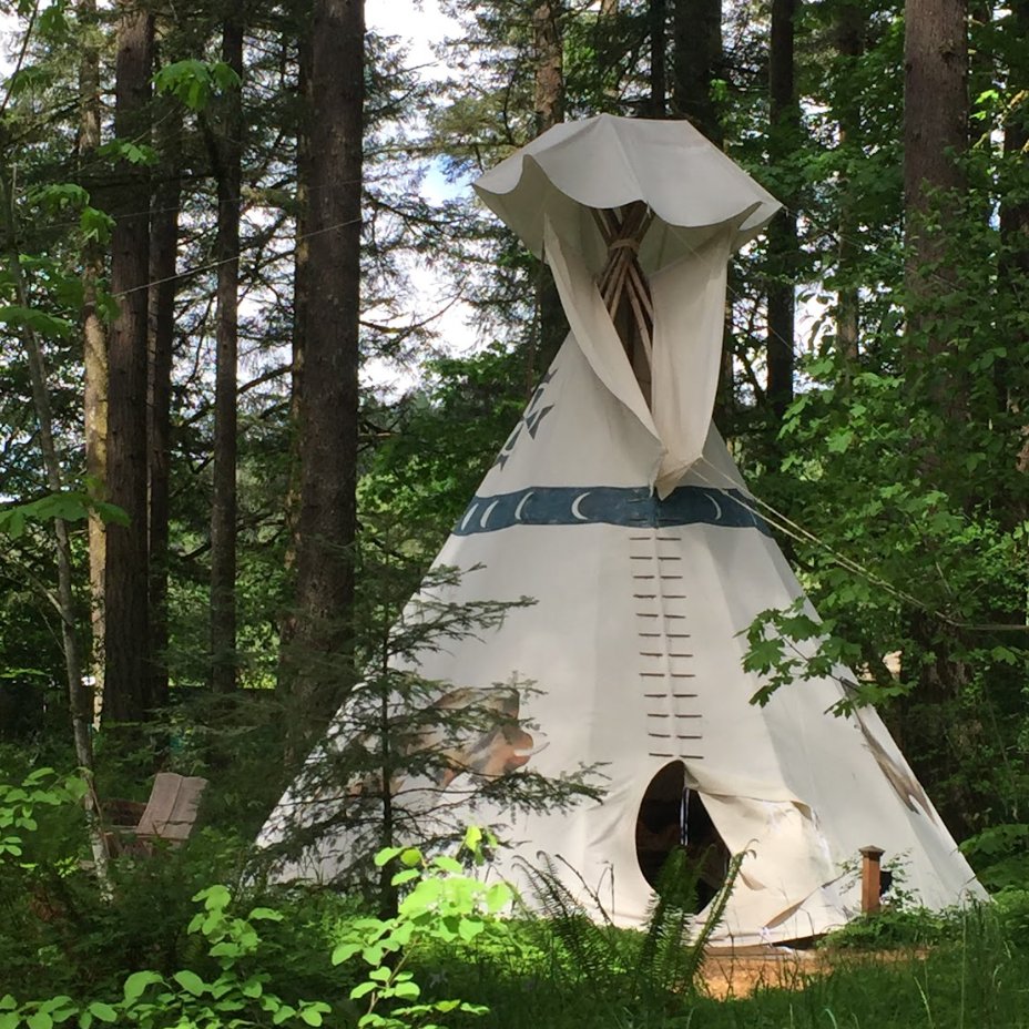 White tipi standing among the trees